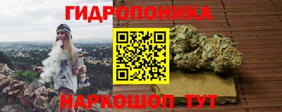 соль ск Сланцы