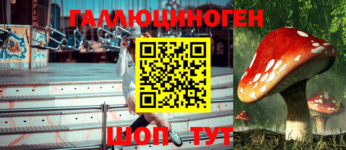 Псилоцибиновые грибы Psilocybe  где купить наркоту  Родники  Вход с VPN  Псилоцибиновые грибы Magic Shrooms 