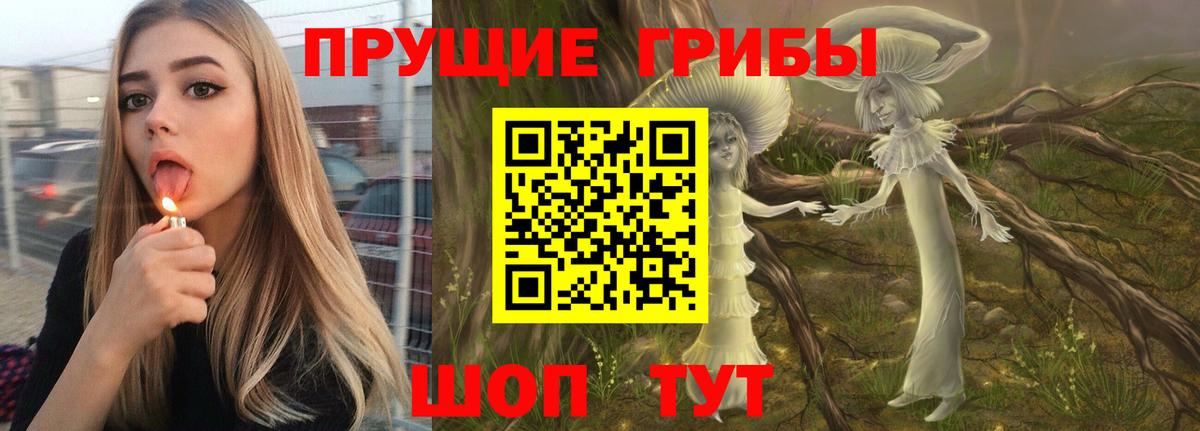 Псилоцибиновые грибы Cubensis Родники